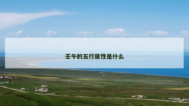 壬午的五行属性是什么