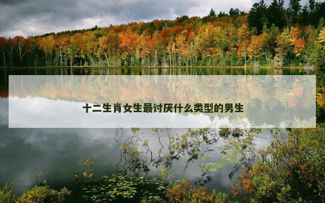 十二生肖女生最讨厌什么类型的男生