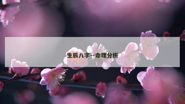 生辰八字--命理分析
