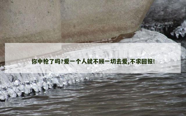 你中枪了吗?爱一个人就不顾一切去爱,不求回报!