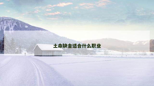 土命缺金适合什么职业
