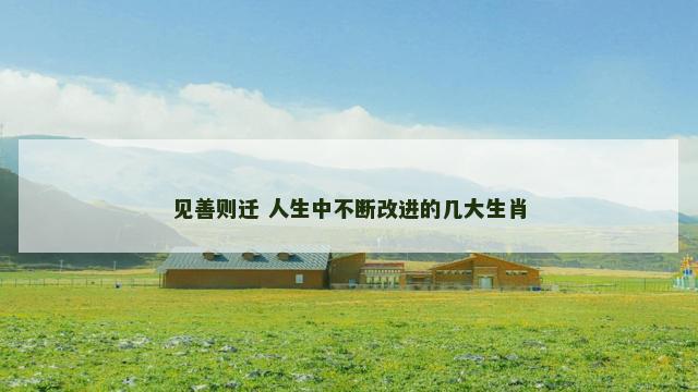 见善则迁 人生中不断改进的几大生肖