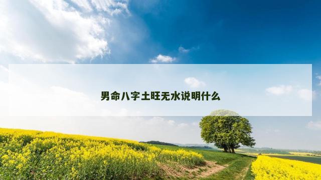 男命八字土旺无水说明什么