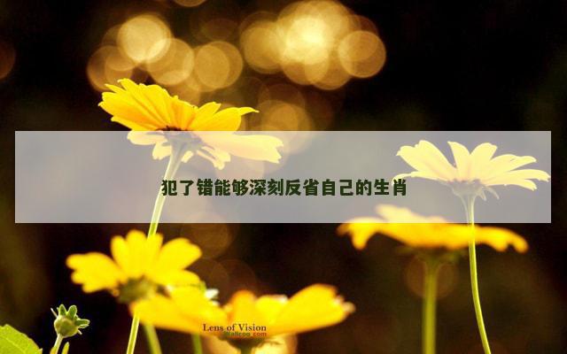 犯了错能够深刻反省自己的生肖