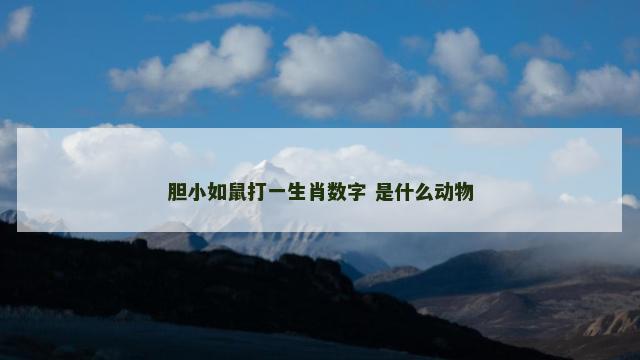 胆小如鼠打一生肖数字 是什么动物