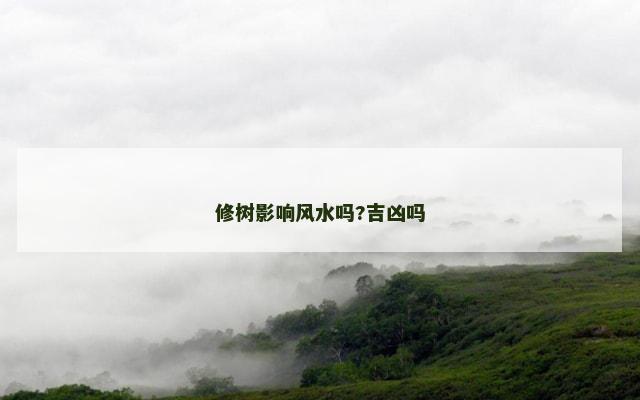 修树影响风水吗?吉凶吗