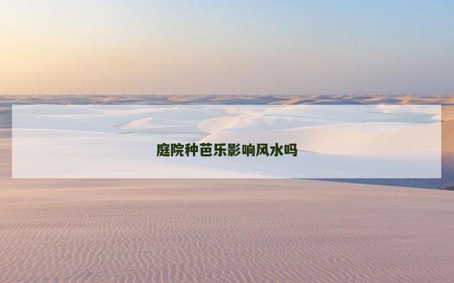 庭院种芭乐影响风水吗