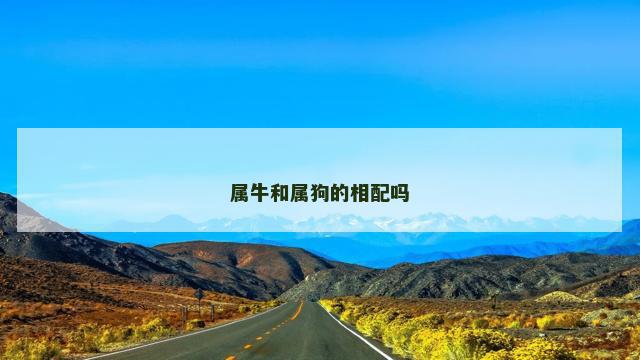 属牛和属狗的相配吗