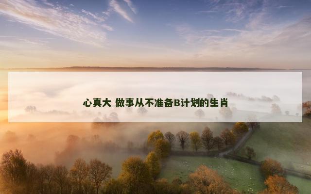 心真大 做事从不准备B计划的生肖