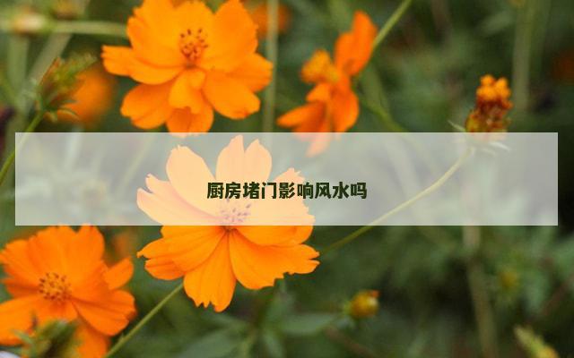 厨房堵门影响风水吗