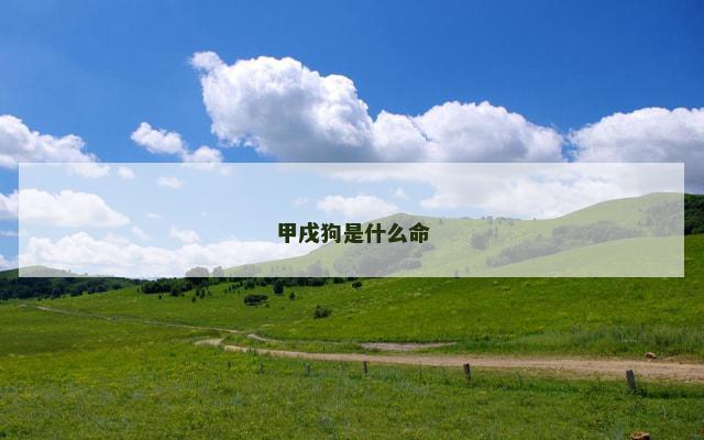 甲戌狗是什么命
