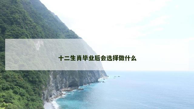 十二生肖毕业后会选择做什么