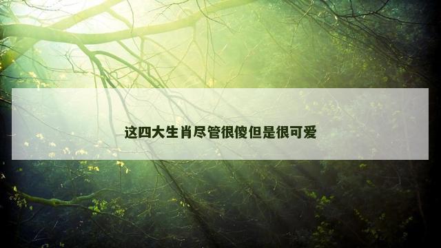 这四大生肖尽管很傻但是很可爱