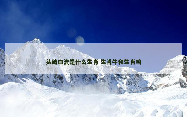 头破血流是什么生肖 生肖牛和生肖鸡
