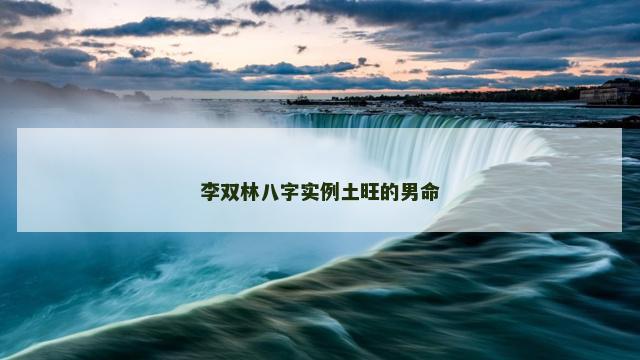 李双林八字实例土旺的男命