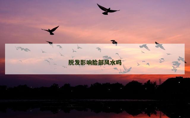 脱发影响脸部风水吗