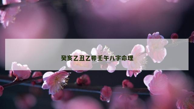 癸亥乙丑乙卯壬午八字命理