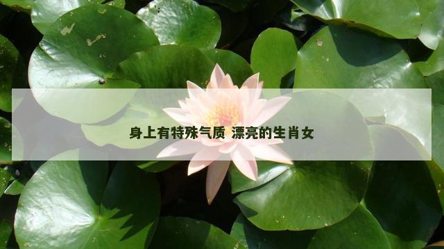 身上有特殊气质 漂亮的生肖女