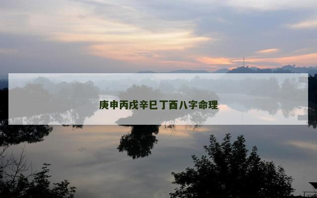 庚申丙戌辛巳丁酉八字命理