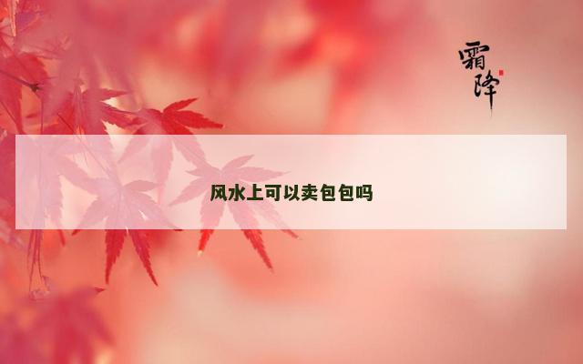风水上可以卖包包吗