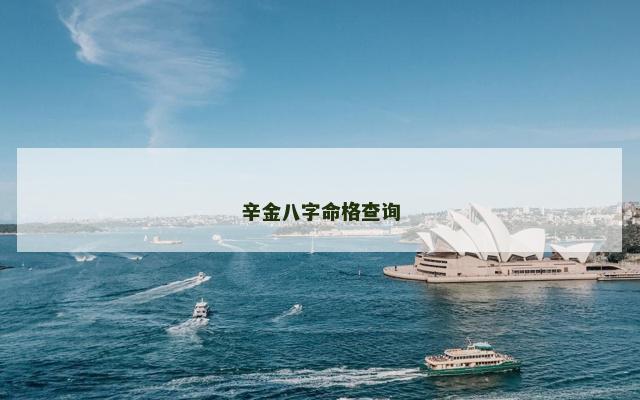 辛金八字命格查询