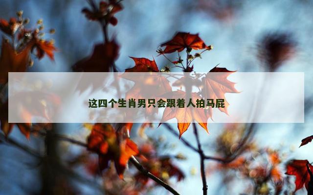 这四个生肖男只会跟着人拍马屁