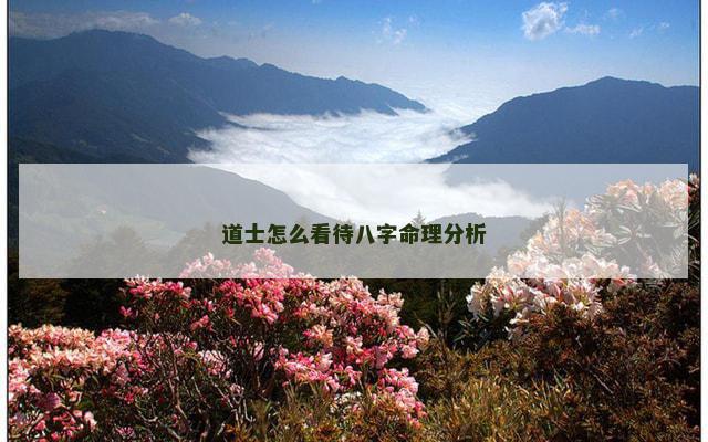 道士怎么看待八字命理分析