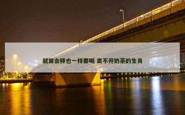 就算会胖也一样要喝 离不开奶茶的生肖