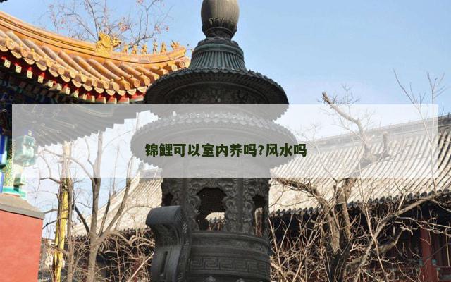 锦鲤可以室内养吗?风水吗