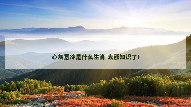 心灰意冷是什么生肖 太涨知识了！