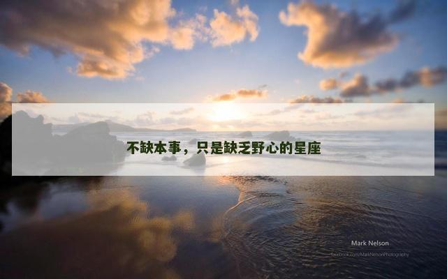 不缺本事，只是缺乏野心的星座