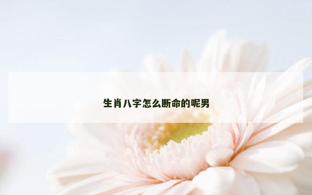 生肖八字怎么断命的呢男