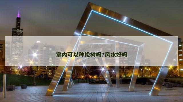室内可以种松树吗?风水好吗