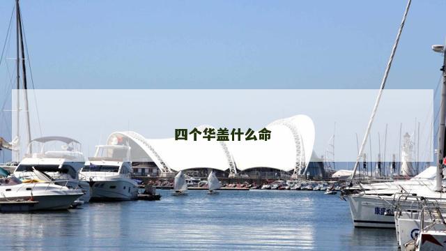 四个华盖什么命