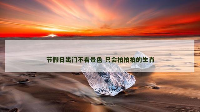 节假日出门不看景色 只会拍拍拍的生肖