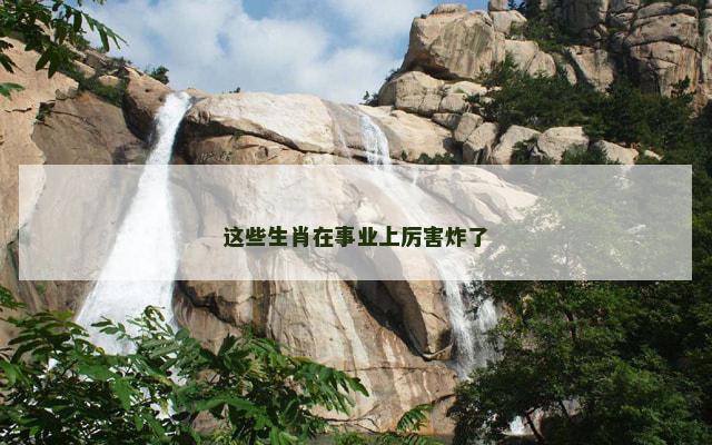 这些生肖在事业上厉害炸了