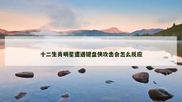 十二生肖明星遭遇键盘侠攻击会怎么反应