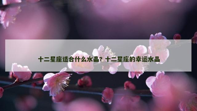 十二星座适合什么水晶? 十二星座的幸运水晶