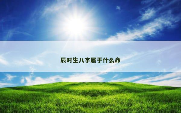 辰时生八字属于什么命