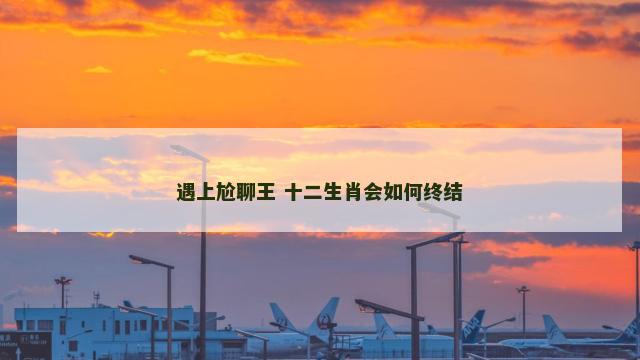 遇上尬聊王 十二生肖会如何终结