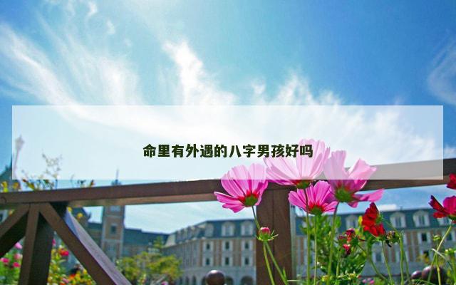 命里有外遇的八字男孩好吗