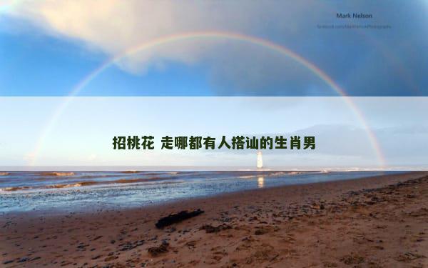 招桃花 走哪都有人搭讪的生肖男