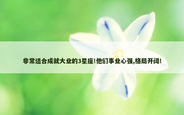 非常适合成就大业的3星座!他们事业心强,格局开阔!