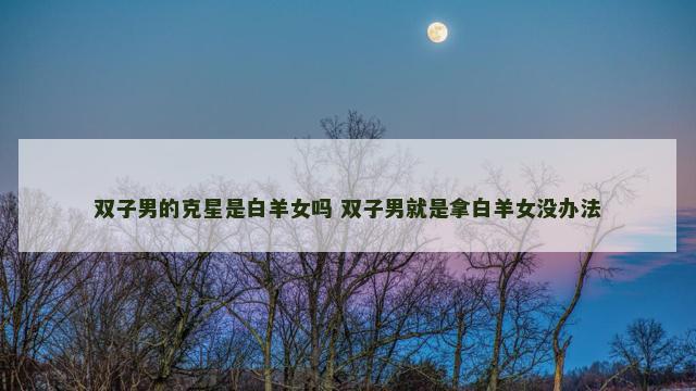 双子男的克星是白羊女吗 双子男就是拿白羊女没办法