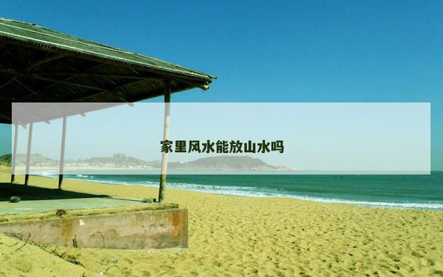 家里风水能放山水吗