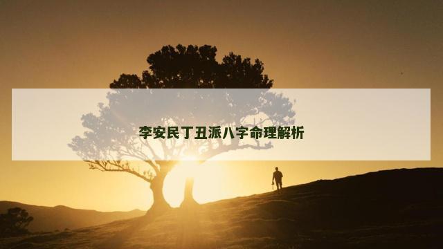 李安民丁丑派八字命理解析
