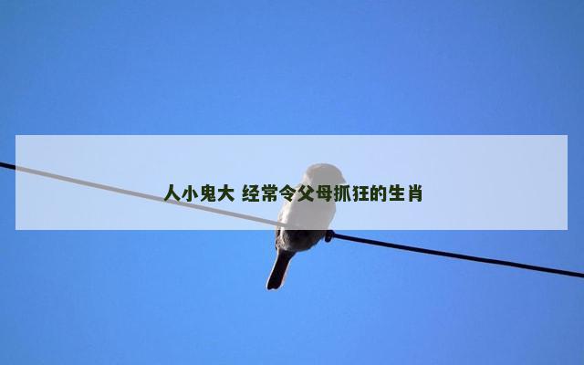 人小鬼大 经常令父母抓狂的生肖