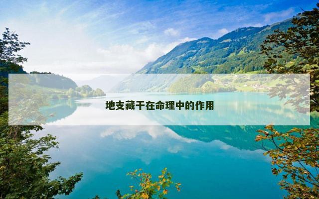 地支藏干在命理中的作用