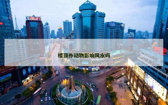 楼顶养动物影响风水吗