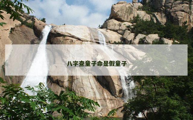 八字查童子命是假童子